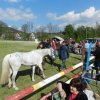 Rajd Mszana Górna 2015